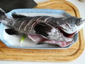 清蒸石斑鱼是哪里的菜系（正宗做法，要蒸多少分钟）